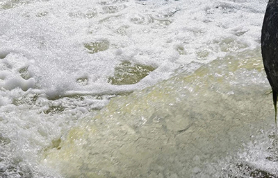 企業(yè)超標(biāo)排放嚴(yán)重 將罰款60萬元