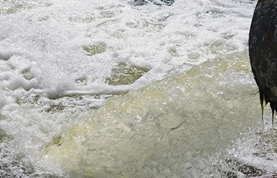 兩家企業超標排污 被各處罰款20萬元