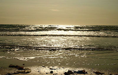 2020年污水處理行業發展趨勢、現狀及前景分析