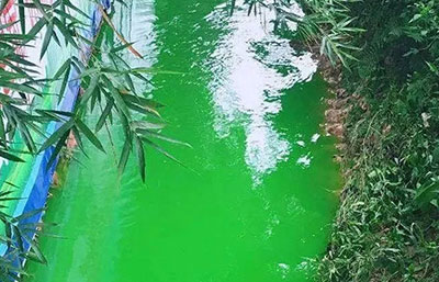 觸目驚心！水全都“染綠”了！多家企業(yè)被查處
