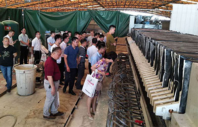 隔膜壓濾機用于污泥脫水的原理及優(yōu)勢