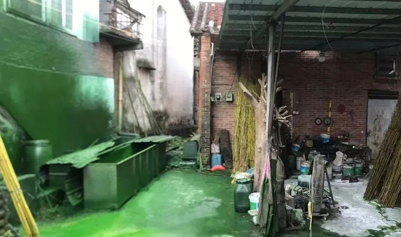 觸目驚心!水全都“染綠”了!多家企業被查處! 觸目驚心!水全都“染綠”了!多家企業被查處!